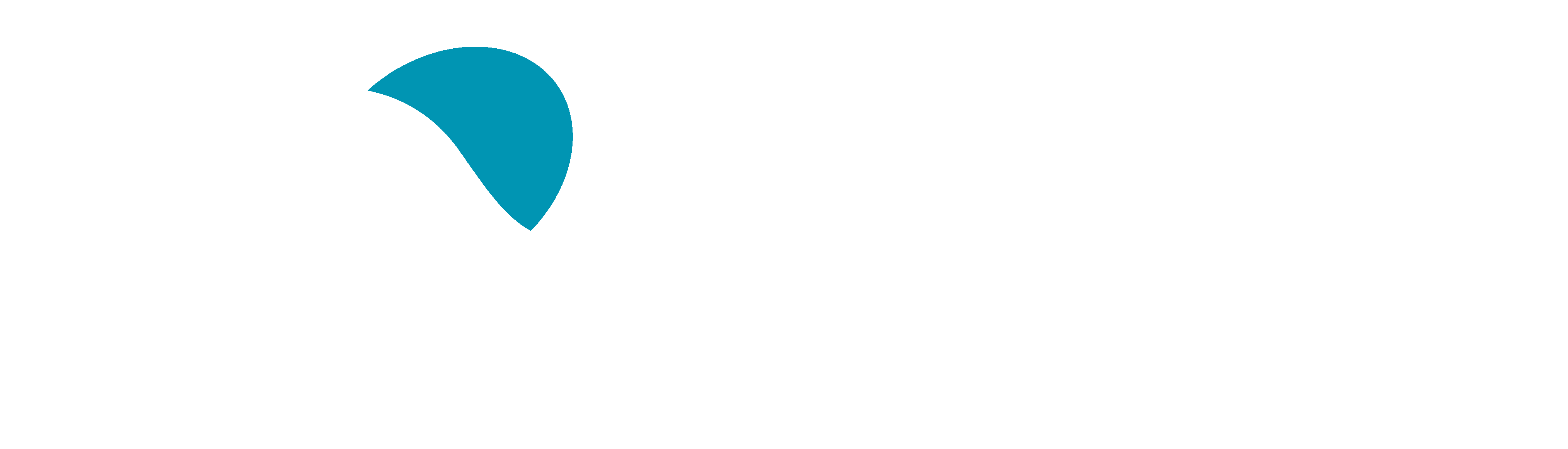 Langų valymo įrankiai &bdquo;Moerman" Belgija - kiliminiudanguvalymas.lt